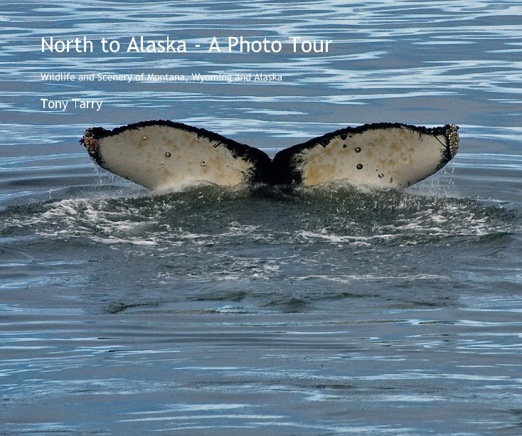 View North to Alaska - A Photo Tour by Tony Tarry