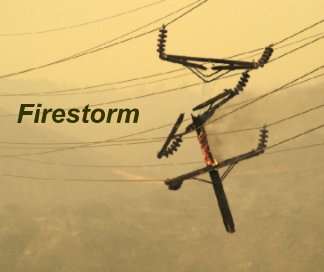 Firestorm book cover