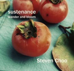 sustenance book cover