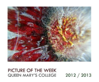 Picture of the Week 2012 / 2013 book cover