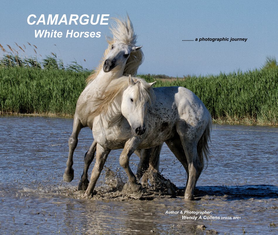 Ver CAMARGUE White Horses por Author & Photographer: Wendy A Collens DPAGB, BPE1