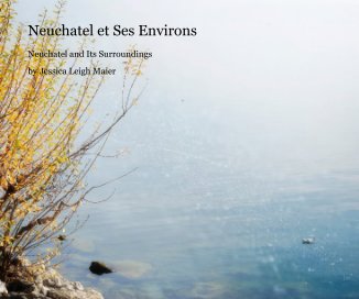 Neuchatel et Ses Environs book cover