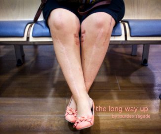 the long way up by lourdes segade book cover