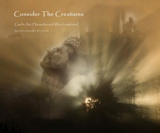 Consider The Creatures book cover