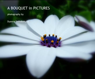 A BOUQUET in PICTURES book cover