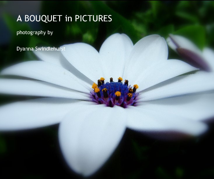 View A BOUQUET in PICTURES by Dyanna Swindlehurst