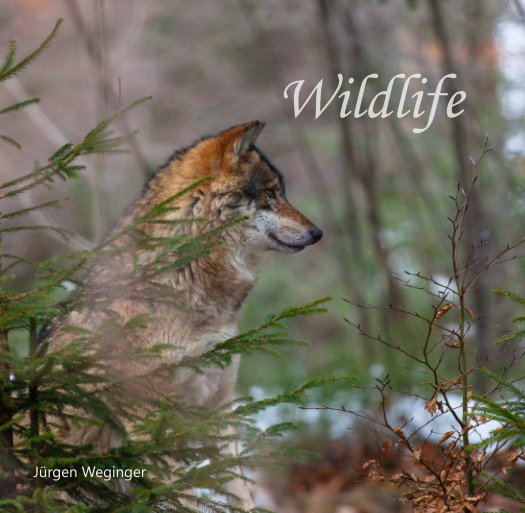 Ver Wildlife por Jürgen Weginger
