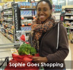 Sophie Goes Shopping book cover