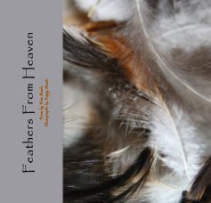 Feathers From Heaven book cover