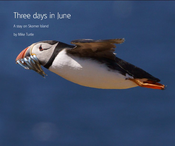 View Three days in June by Mike Turtle