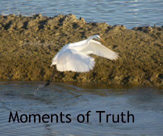 Moments of Truth book cover