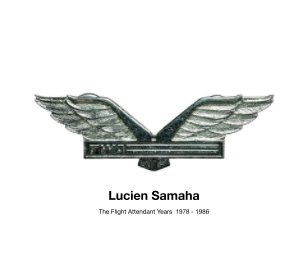 The Flight Attendant Years 1978-1986 book cover