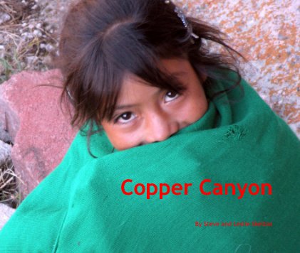 Copper Canyon book cover