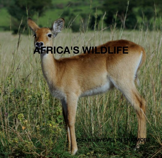 View AFRICA'S WILDLIFE by CREATED BY EVELYN SKIDMORE