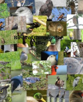 Birds of Gunpowder Valley book cover