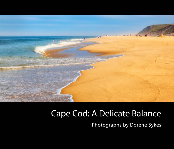 View Cape Cod: A Delicate Balance by Dorene Sykes