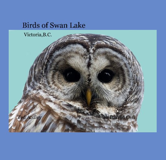 Birds of Swan Lake Victoria,B.C. Ted Ardley Barred Owl nach tardley anzeigen