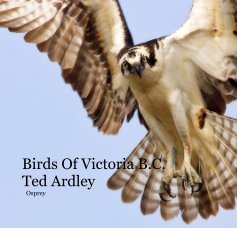 Birds Of Victoria book cover