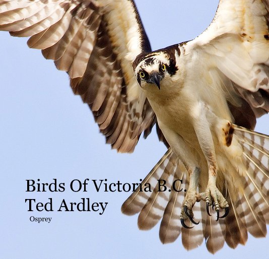 View Birds Of Victoria by Edward Ardley