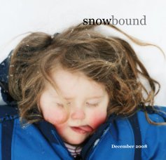 snowbound book cover