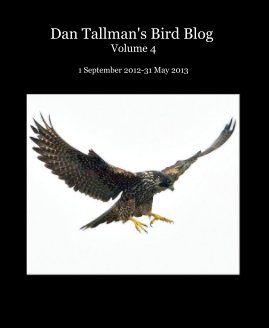 Dan Tallman's Bird Blog Volume 4 book cover