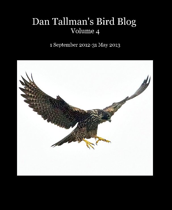 View Dan Tallman's Bird Blog Volume 4 by tallmand