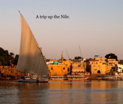 A trip up the Nile. book cover