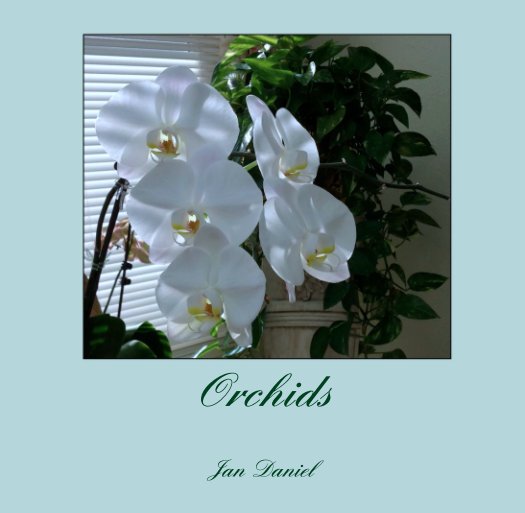 View Orchids by Jan Daniel