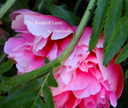 The Scent of Love book cover