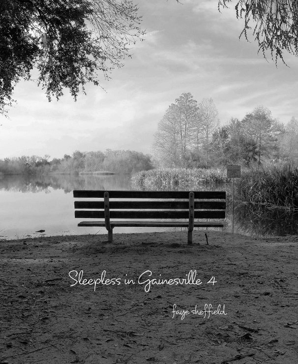 View Sleepless in Gainesville 4 by faye sheffield