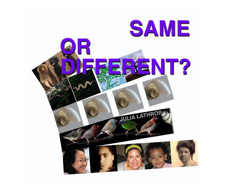View Same Or Different? by Julia Lathrop