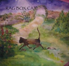 RAG BOX CAT book cover