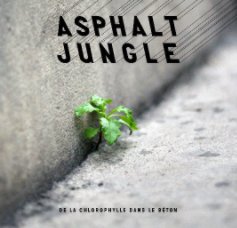 Asphalt jungle 2.0 book cover