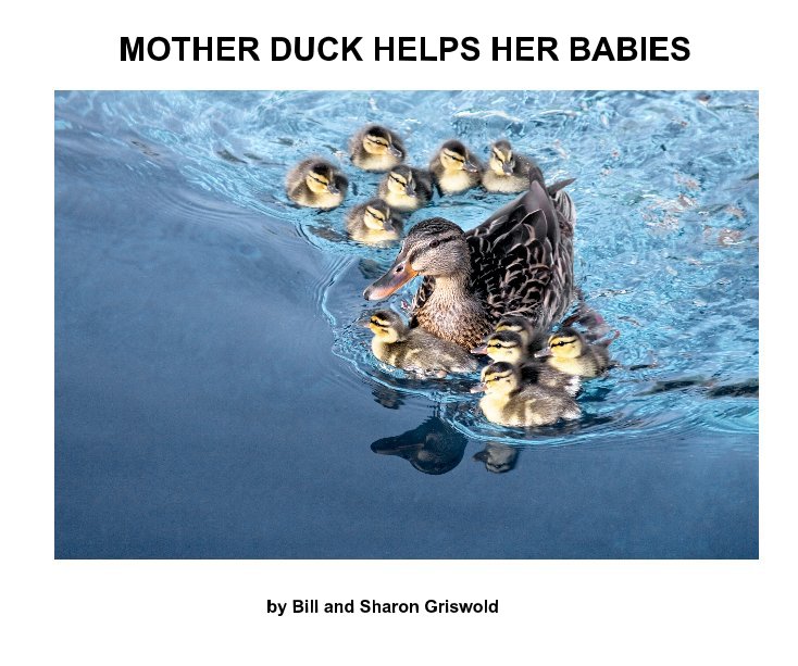 View Mother Duck Helps Her Babies by Bill and Sharon Griswold