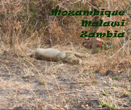Mozambique Malawi Zambia book cover