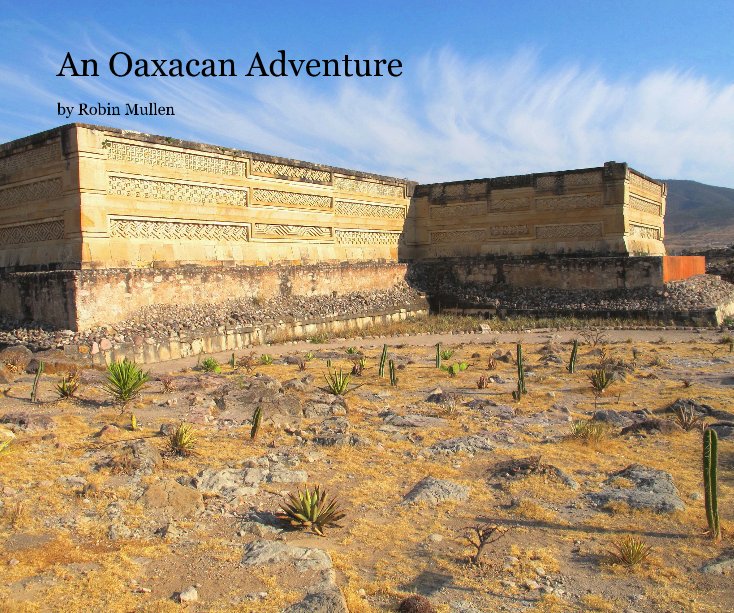 View An Oaxacan Adventure by robinmullen