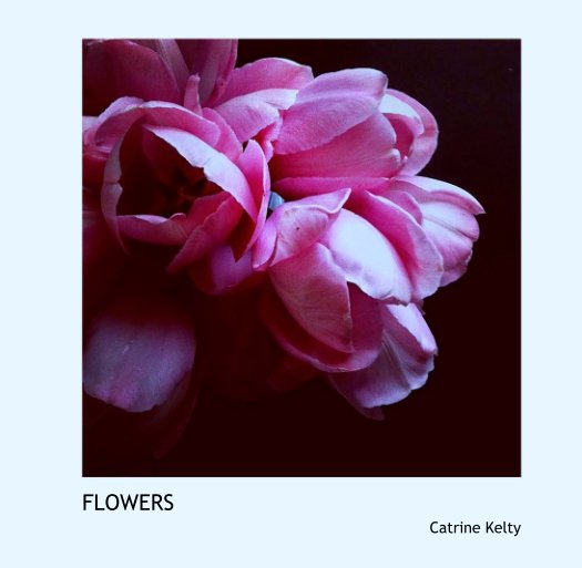 View FLOWERS by Catrine Kelty