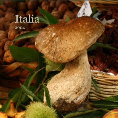 Italia 2004 book cover