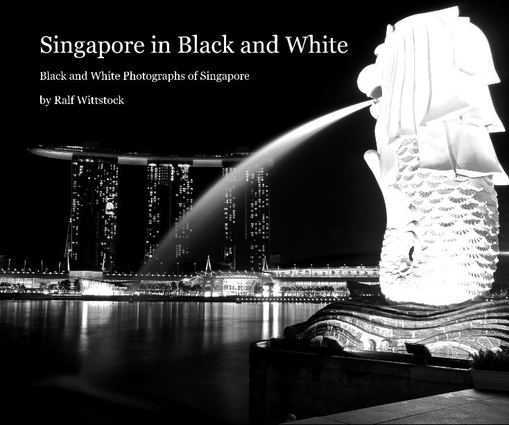 View Singapore in Black and White by Ralf Wittstock