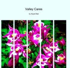Valley Cares book cover