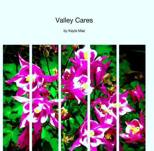 Visualizza Valley Cares di Kayla Mae