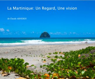 La Martinique: Un Regard, Une vision book cover