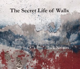 The Secret Life of Walls book cover
