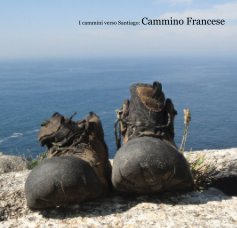 I cammini verso Santiago: Cammino Francese book cover