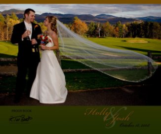 Holly and Josh Wedding book cover