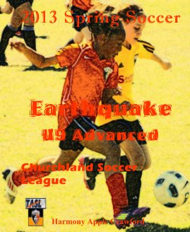 2013 Spring Soccer book cover