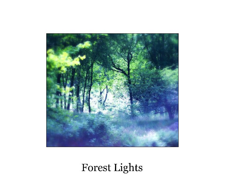 View Forest Lights by Claire Ward