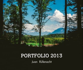 PORTFOLIO 2013 book cover