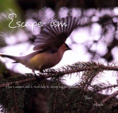 Escape- ism book cover