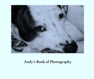 Andy's Book of Photography book cover